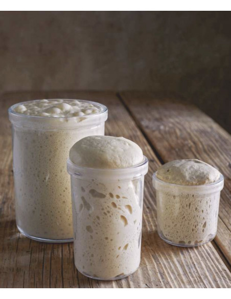 Fermentación. Historia, usos y recetas