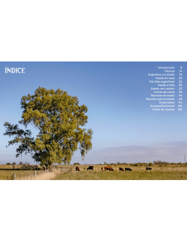 Asado. Parrillada argentina