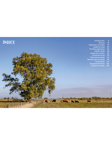 Asado. Parrillada argentina