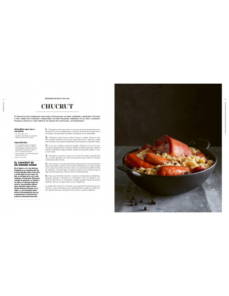 Fermentación. Historia, usos y recetas