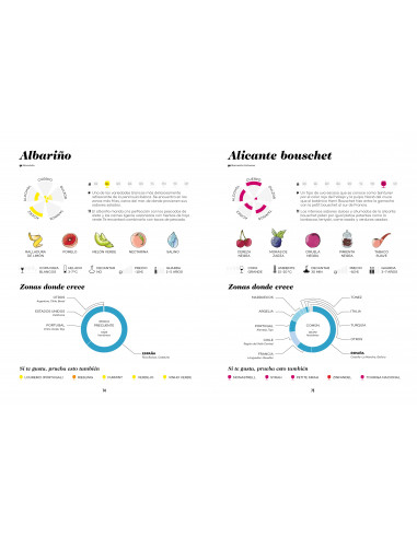 Wine Folly: Edición Magnum - La guía maestra...