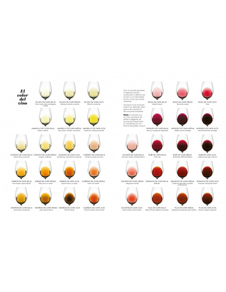 Wine Folly: Edición Magnum - La guía maestra del vino