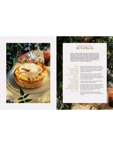 Cheesecakes - Aliter Dulcia