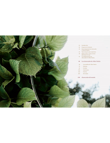 Cheesecakes - Aliter Dulcia