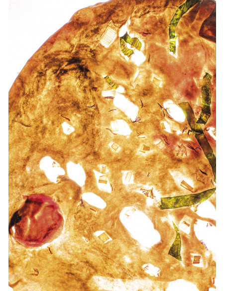 Porca Miseria, los oficios de la carne