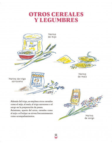 LA COCINA INDIA ILUSTRADA