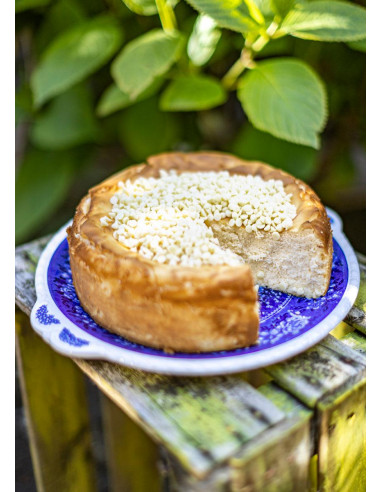 Cheesecakes - Aliter Dulcia