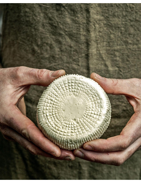 El arte de hacer queso