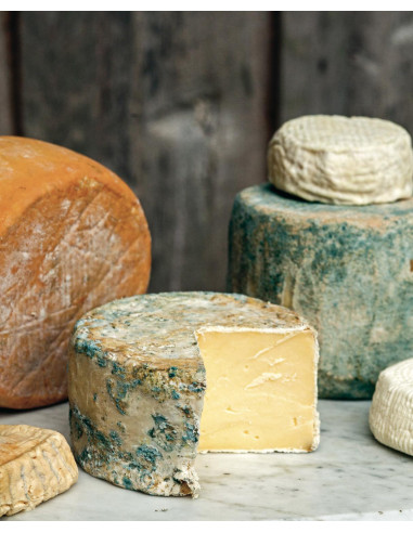 El arte de hacer queso