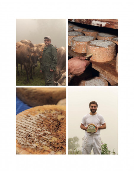 ARTESANOS
DEL QUESO
23 queserías para recorrer la riqueza y diversidad del queso en España