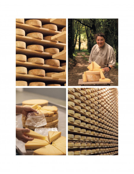 ARTESANOS
DEL QUESO
23 queserías para recorrer la riqueza y diversidad del queso en España