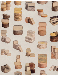 ARTESANOS
DEL QUESO
23 queserías para recorrer la riqueza y diversidad del queso en España 2