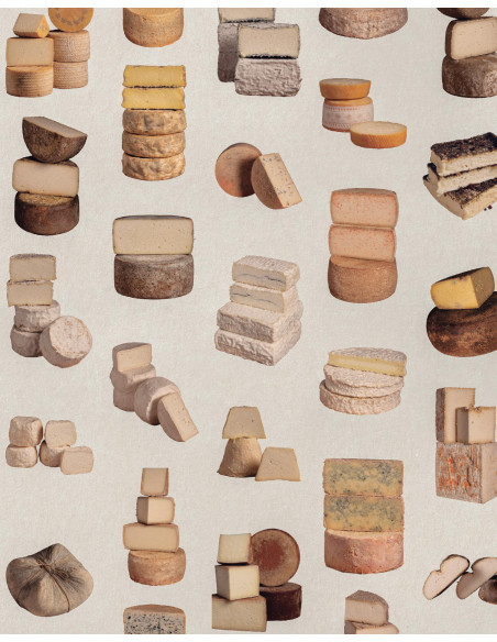 ARTESANOS
DEL QUESO
23 queserías para recorrer la riqueza y diversidad del queso en España